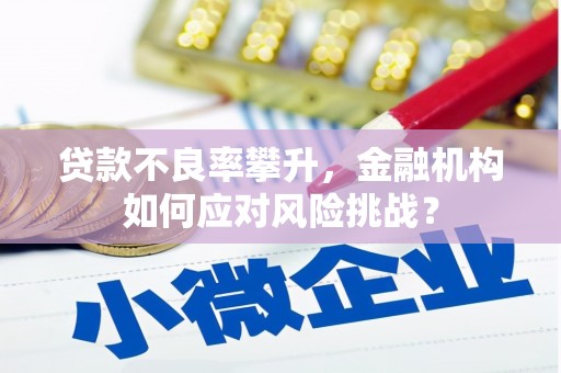 淮上贷款不良率攀升，金融机构如何应对风险挑战？