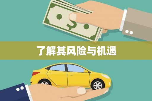 淮上了解其风险与机遇