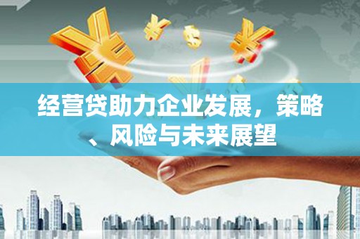 淮上经营贷助力企业发展，策略、风险与未来展望