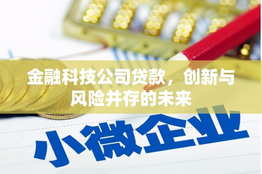 淮上金融科技公司贷款，创新与风险并存的未来