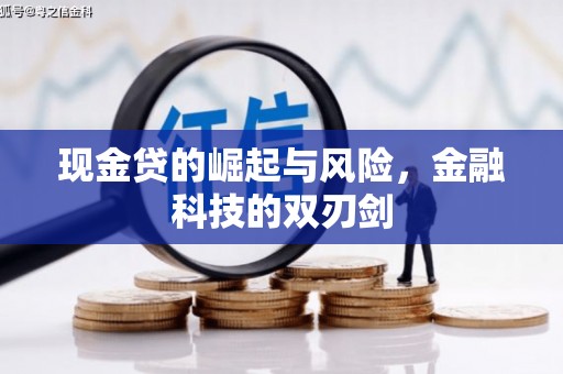 淮上现金贷的崛起与风险，金融科技的双刃剑