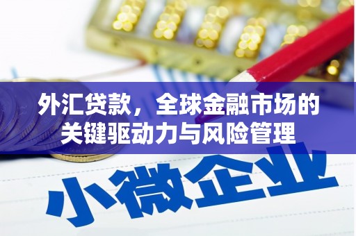 淮上外汇贷款，全球金融市场的关键驱动力与风险管理