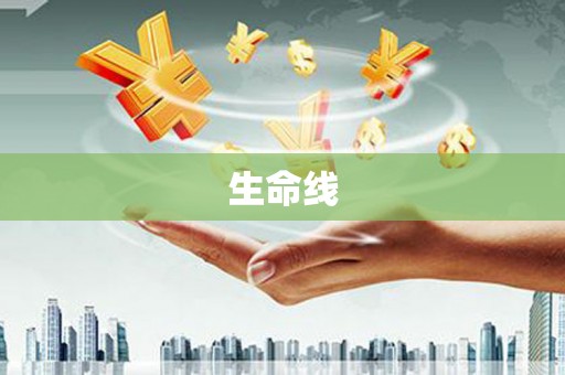 淮上生命线