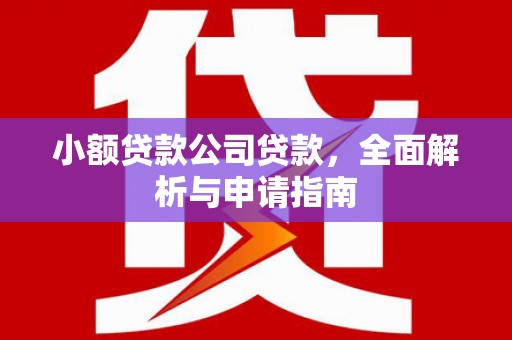 淮上小额贷款公司贷款，全面解析与申请指南