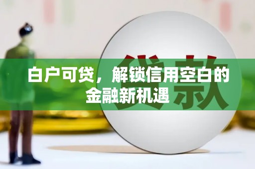 淮上白户可贷，解锁信用空白的金融新机遇