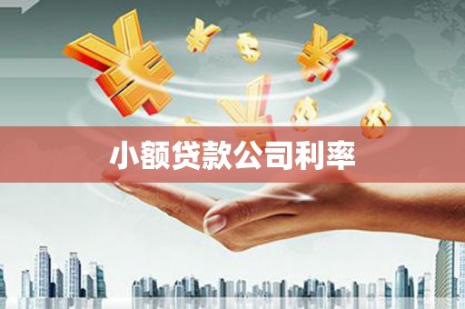 淮上小额贷款公司利率