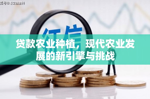 淮上贷款农业种植，现代农业发展的新引擎与挑战