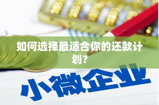 淮上如何选择最适合你的还款计划？