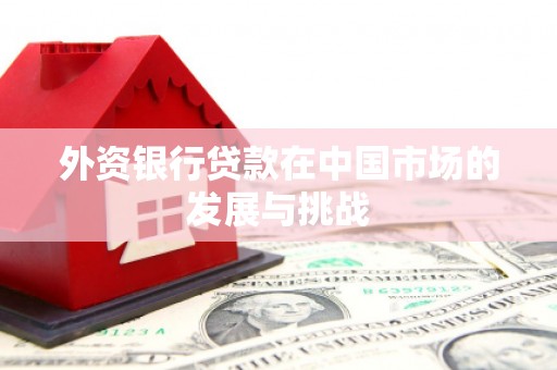 淮上外资银行贷款在中国市场的发展与挑战