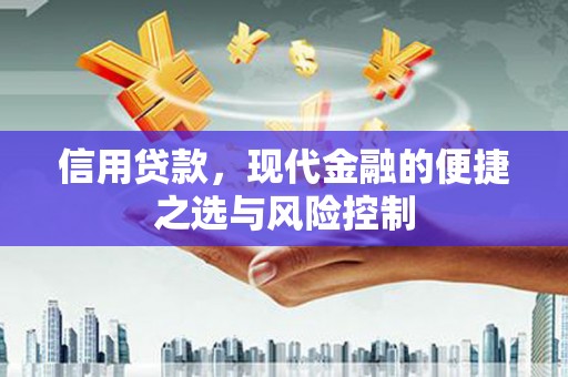 淮上信用贷款，现代金融的便捷之选与风险控制
