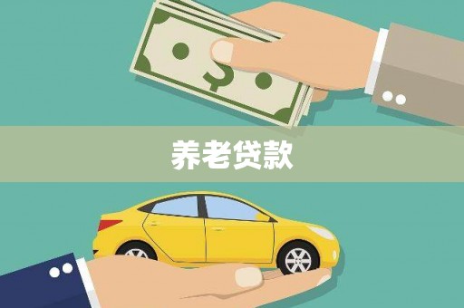 淮上养老贷款