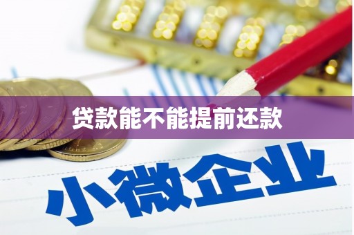 淮上贷款能不能提前还款