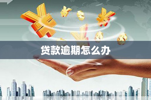 淮上贷款逾期怎么办