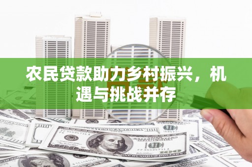 淮上农民贷款助力乡村振兴，机遇与挑战并存