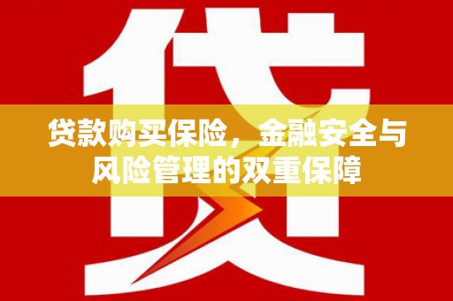 淮上贷款购买保险，金融安全与风险管理的双重保障