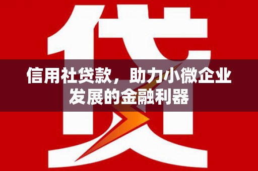 淮上信用社贷款，助力小微企业发展的金融利器