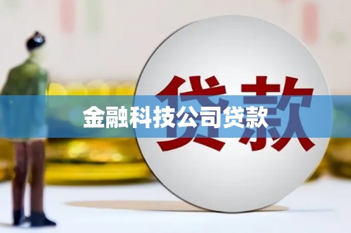 淮上金融科技公司贷款