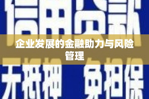 淮上企业发展的金融助力与风险管理