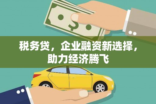 淮上税务贷，企业融资新选择，助力经济腾飞