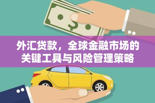 淮上外汇贷款，全球金融市场的关键工具与风险管理策略