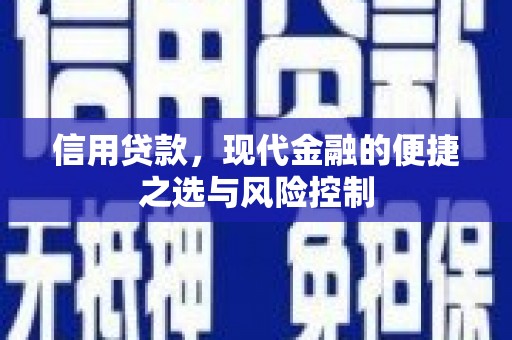 淮上信用贷款，现代金融的便捷之选与风险控制