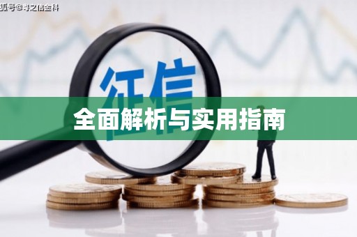 淮上全面解析与实用指南