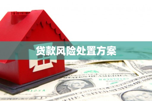 淮上贷款风险处置方案