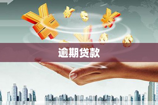 淮上逾期贷款