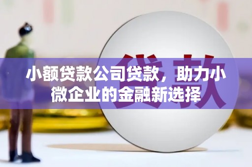 淮上小额贷款公司贷款，助力小微企业的金融新选择