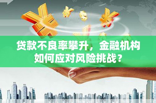 淮上贷款不良率攀升，金融机构如何应对风险挑战？