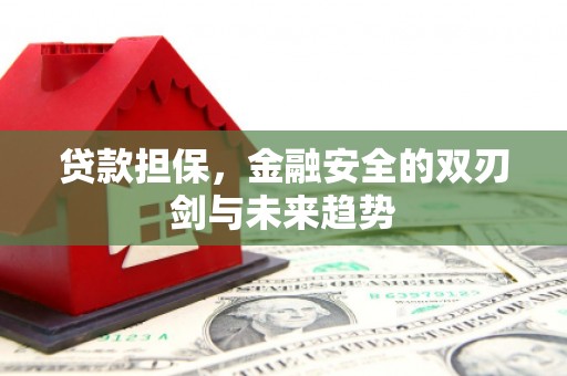 淮上贷款担保，金融安全的双刃剑与未来趋势