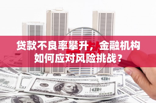 淮上贷款不良率攀升，金融机构如何应对风险挑战？