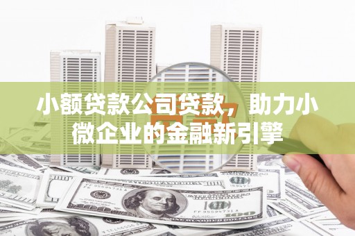 淮上小额贷款公司贷款，助力小微企业的金融新引擎