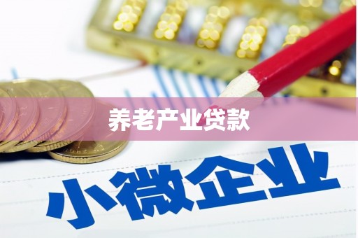 淮上养老产业贷款