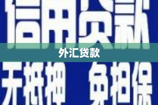 淮上外汇贷款