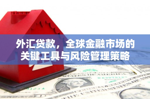 淮上外汇贷款，全球金融市场的关键工具与风险管理策略