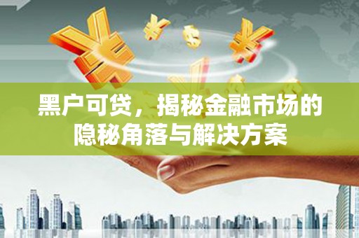 淮上黑户可贷，揭秘金融市场的隐秘角落与解决方案