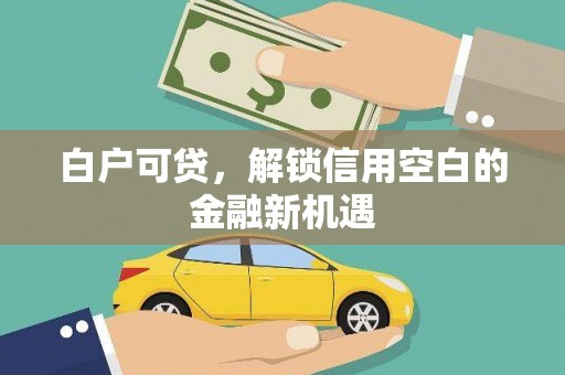 淮上白户可贷，解锁信用空白的金融新机遇