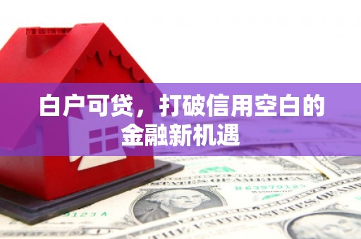 淮上白户可贷，打破信用空白的金融新机遇
