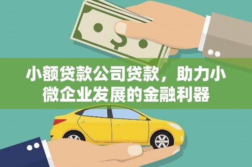淮上小额贷款公司贷款，助力小微企业发展的金融利器