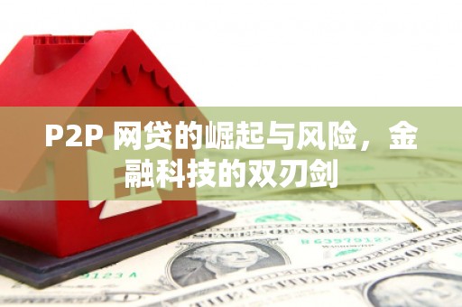 淮上P2P 网贷的崛起与风险，金融科技的双刃剑