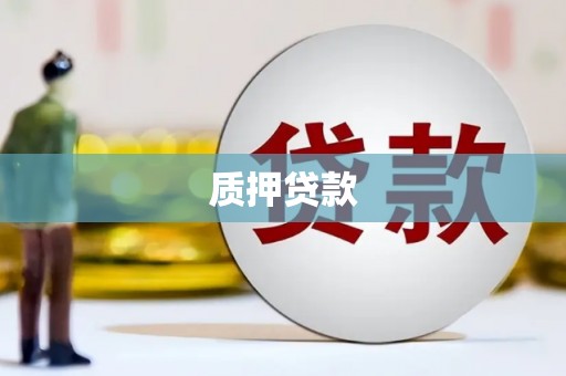 淮上质押贷款