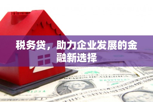 淮上税务贷，助力企业发展的金融新选择