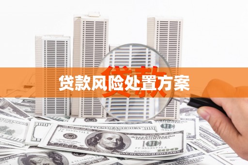淮上贷款风险处置方案