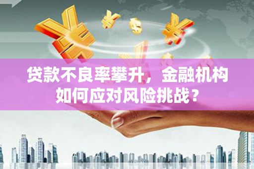 淮上贷款不良率攀升，金融机构如何应对风险挑战？