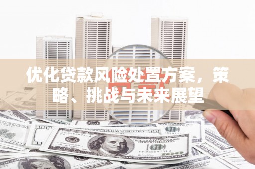淮上优化贷款风险处置方案，策略、挑战与未来展望