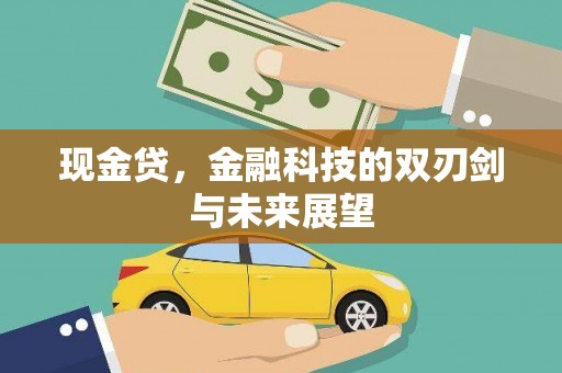 淮上现金贷，金融科技的双刃剑与未来展望