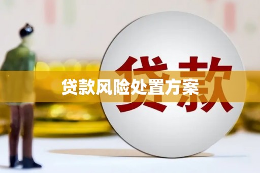 淮上贷款风险处置方案