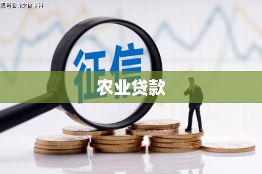 淮上农业贷款