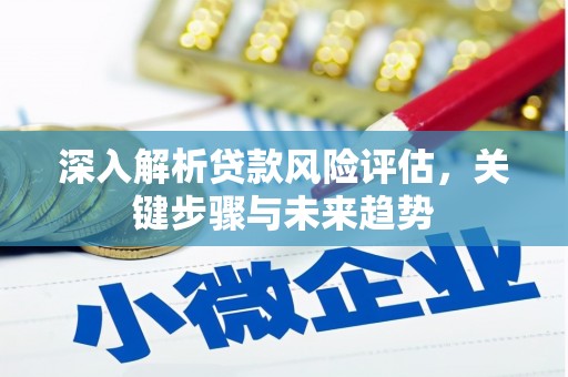 淮上深入解析贷款风险评估，关键步骤与未来趋势